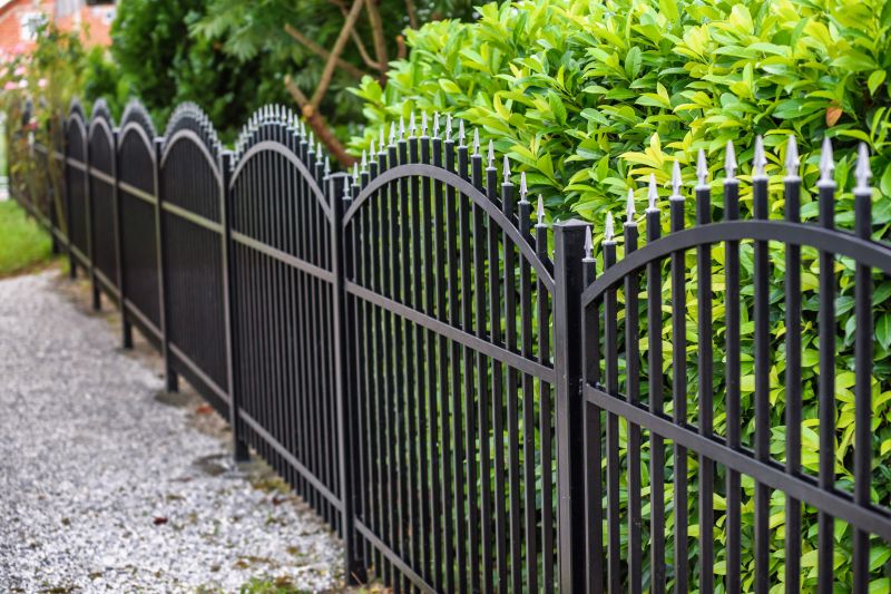 Decorative Iron Fence